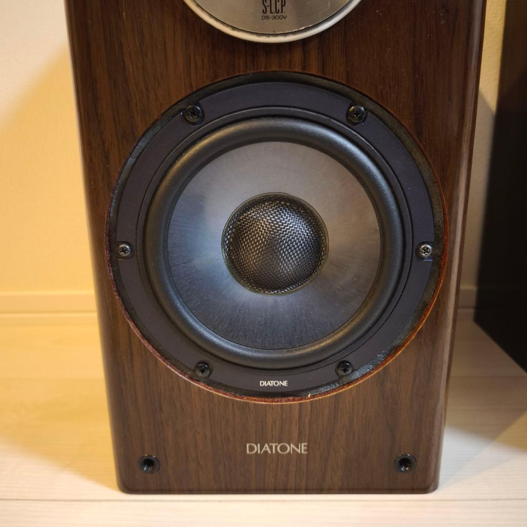 DIATONE DS-G20 ユニット ＋ DS-300V エンクロージャー