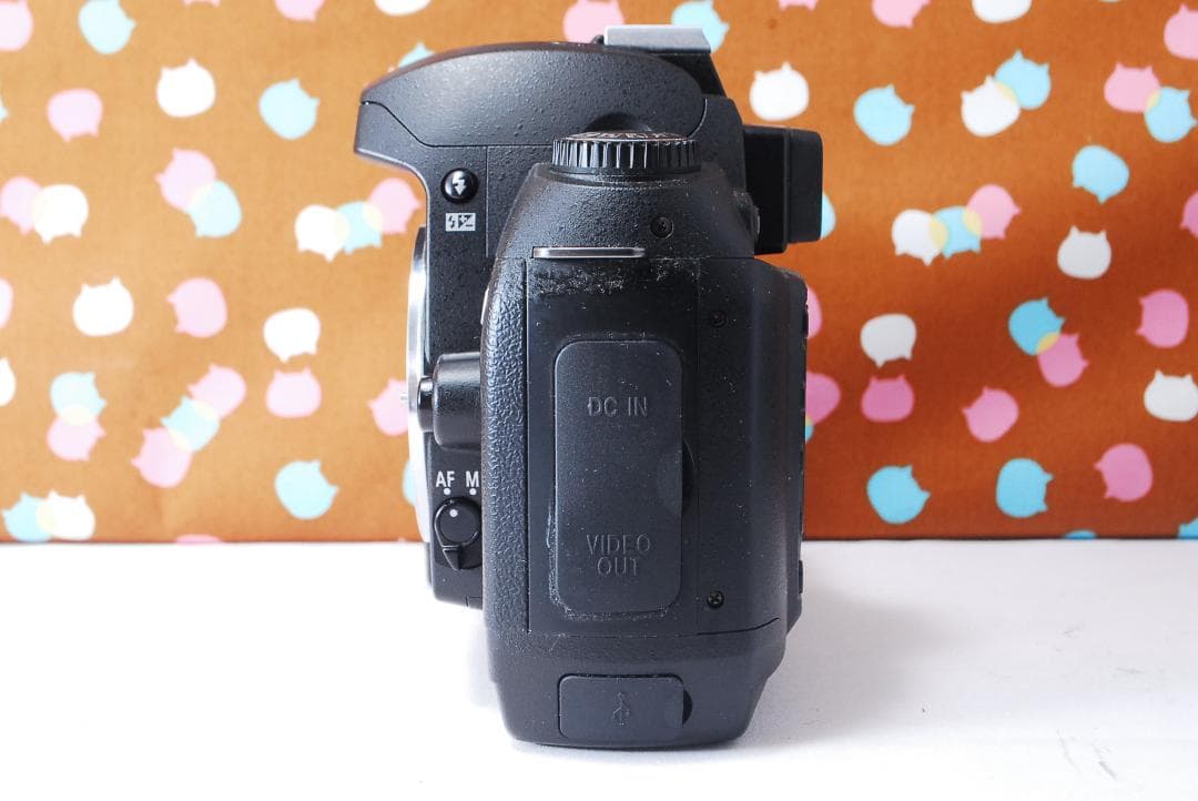 ✨お安くデビュー✨ショット数1071回✨Nikon D70 レンズセット