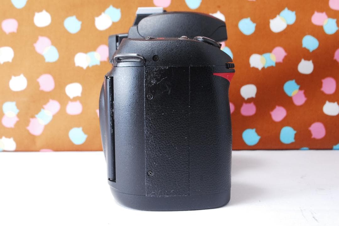 ✨お安くデビュー✨ショット数1071回✨Nikon D70 レンズセット