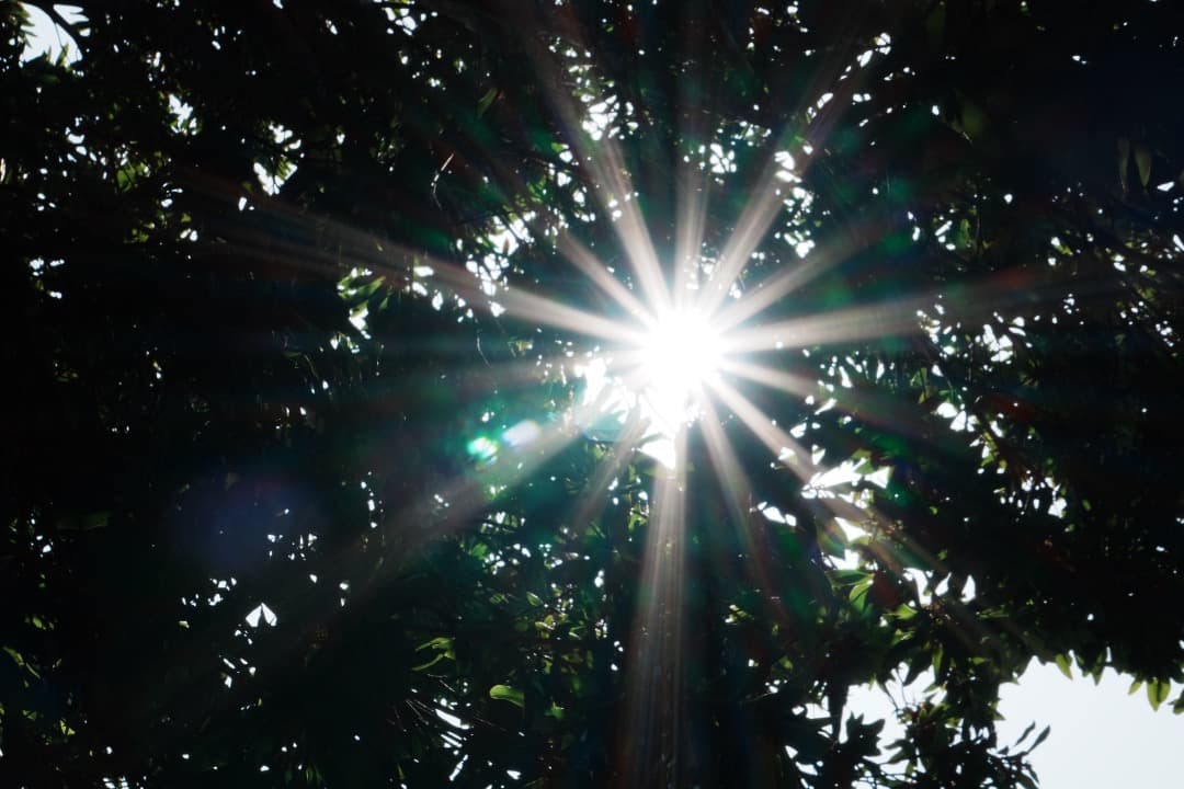 【運動会・スポーツに】SONY 望遠ズームレンズ SEL55210 514