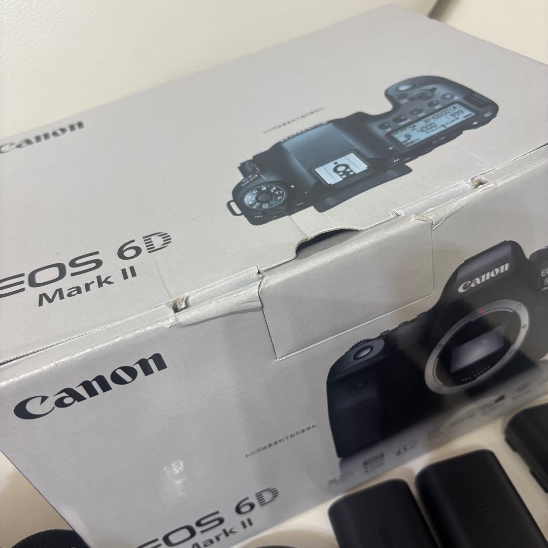 【マイク付き】CANON EOS 6D Mark IIボディ＆レンズ