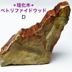 b★特選オンリー１品石★木の化石☆【ペトリファイドウッド珪化木✴︎原石】♡
