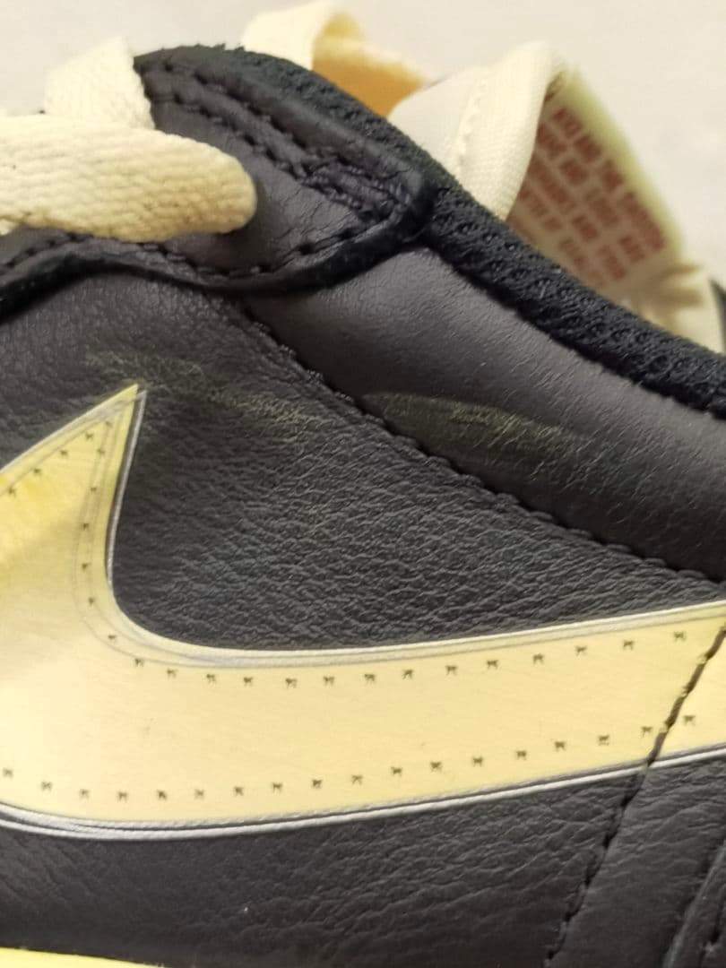 シューズ(男性用) NIKE AJ1 Nigel sylvester LOW IB8958-001