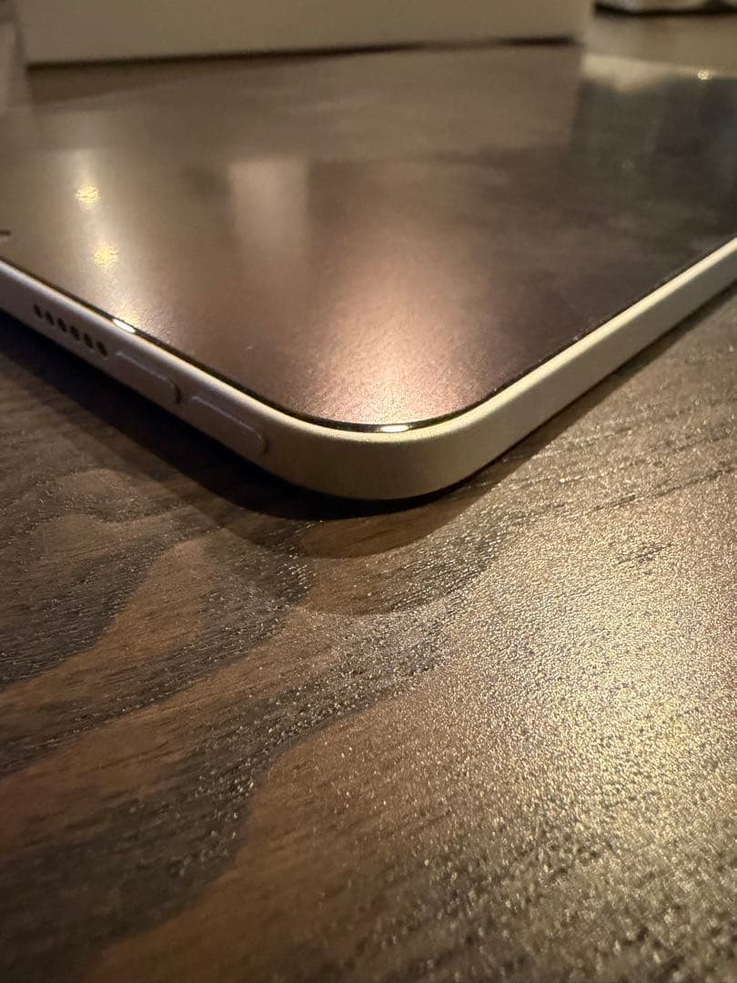 「楓」iPad mini (第6世代) 64GB