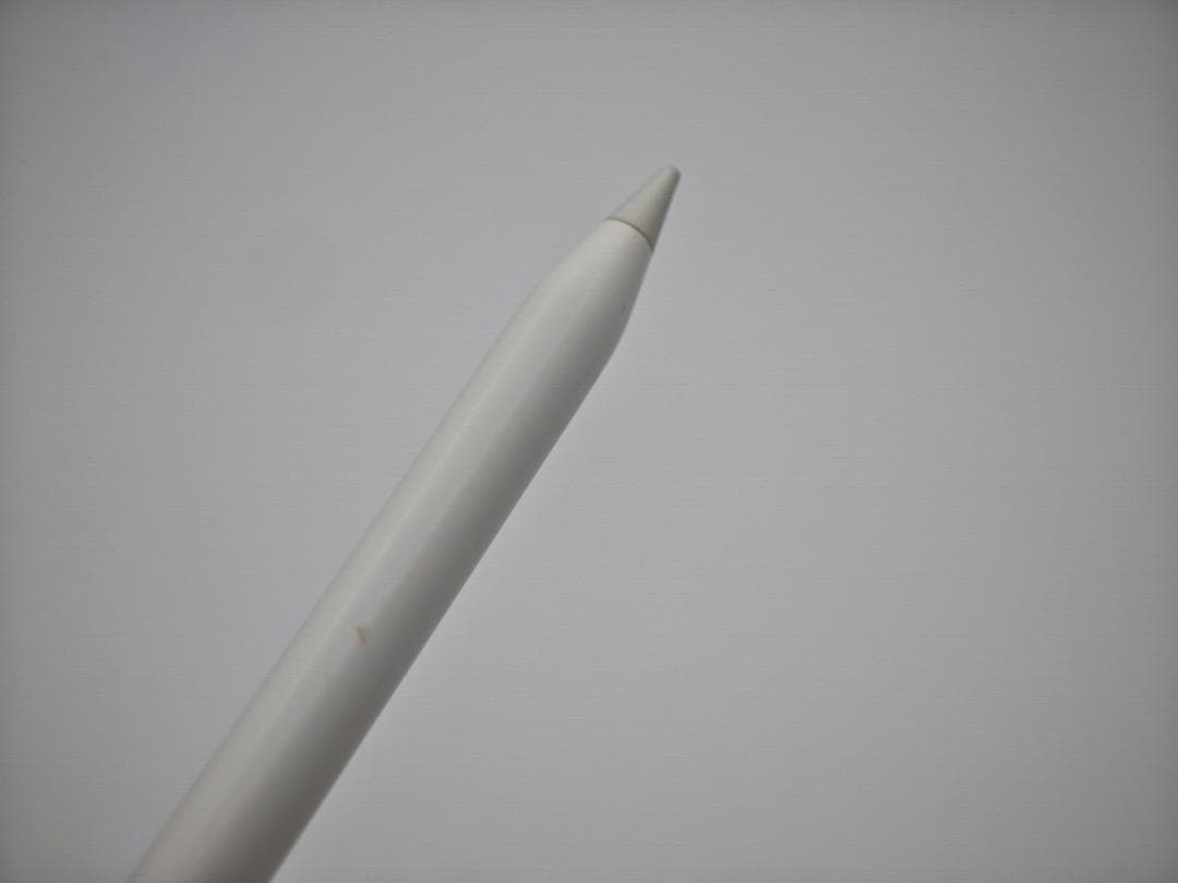 (表示不良) iPad Pro 11インチ 第4世代 Wi-Fi 128GB