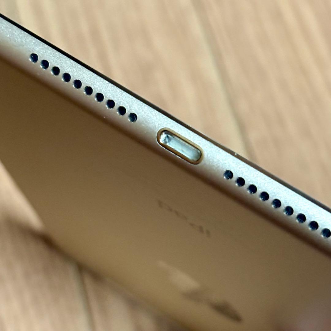 iPad mini 第4世代　バッテリー最大容量96%　Cellular