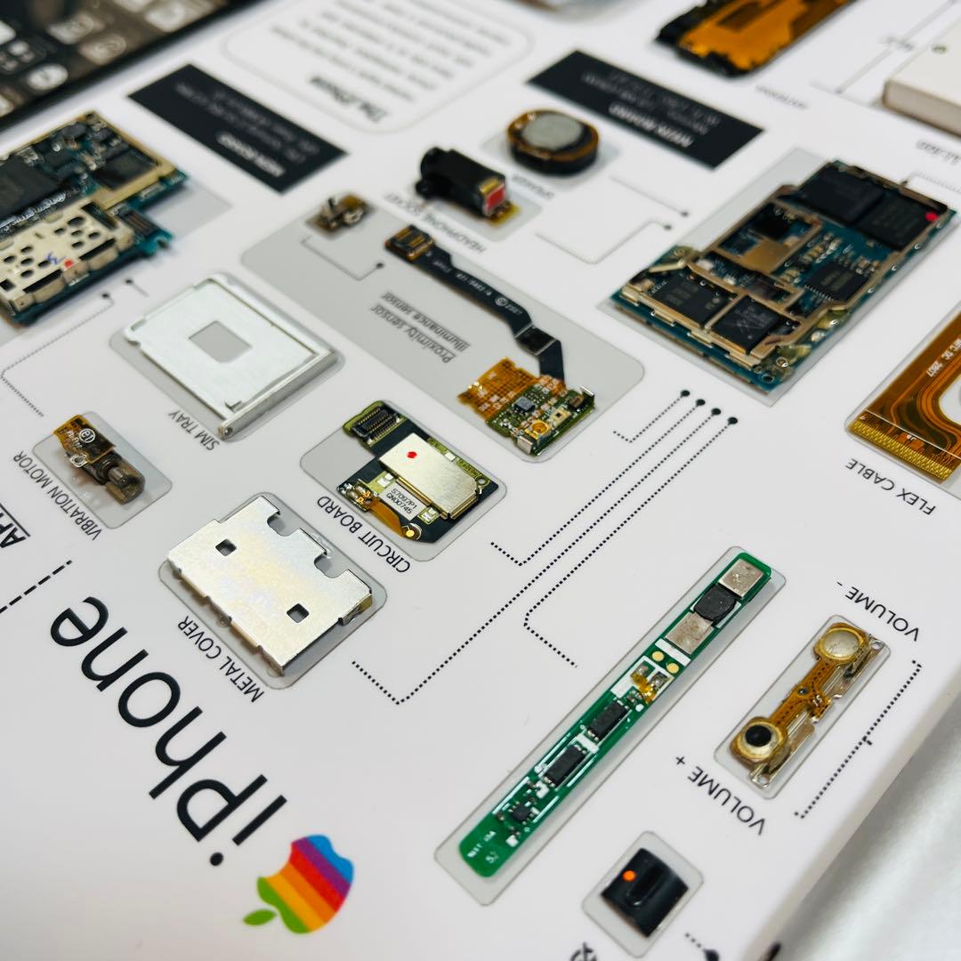 【プレミアム端末】 iPhone 2G 標本アート 高級木製ボックスフレーム仕様