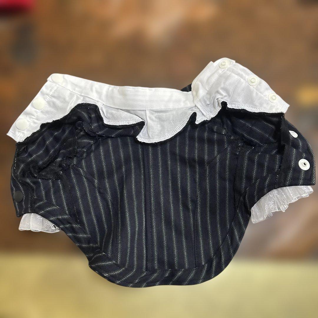 パピリーヒルズ 犬服 Tuxedo set up 黒と白のストライプ