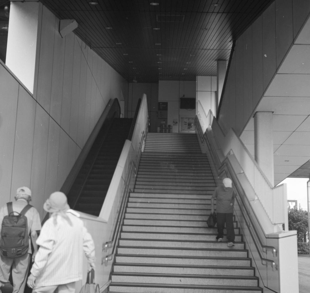 ＜作例あり＞Rolleiflex xenar F3.5 75mm 二眼レフ