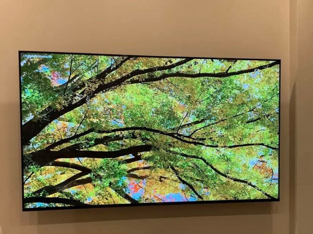 テレビ so_evergoodSONY BRAVIA KJ-75X85J