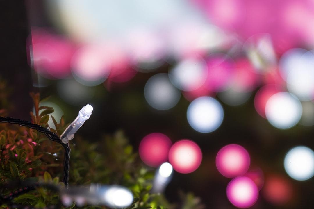 【美品】Sony FE 100mm F2.8 STF GM OSS レンズ