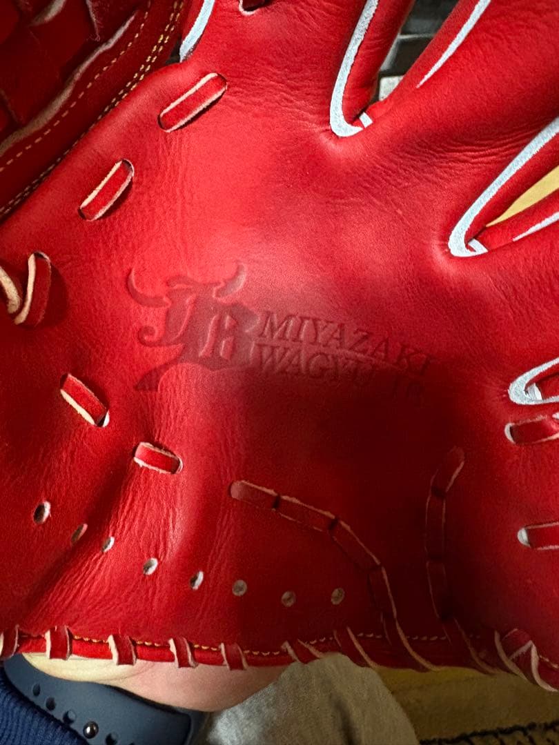 和牛 Jr. 硬式野球グローブ レッド