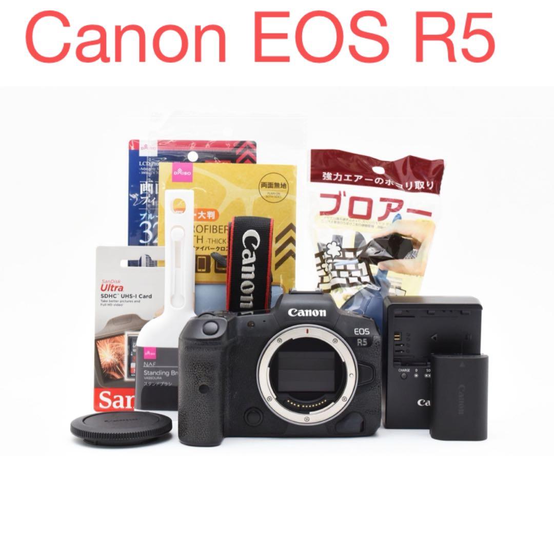 付属品付き デジタル一眼ミラーレスカメラ Canon EOS R5