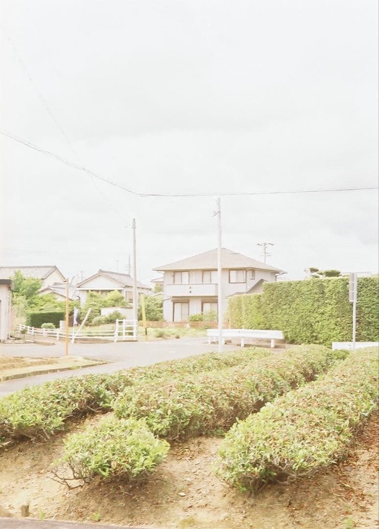 ヤシカ　ハーフ17 作例あり