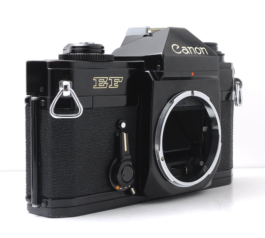 Canon EF + FD50mm F1.8 動作良好 光学クリア キャノン