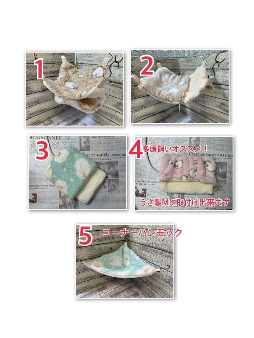 デグー確認用