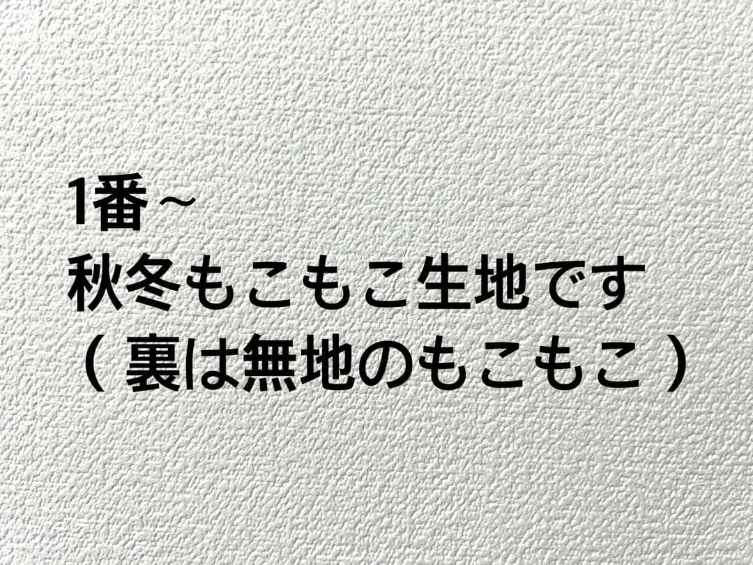 デグー確認用