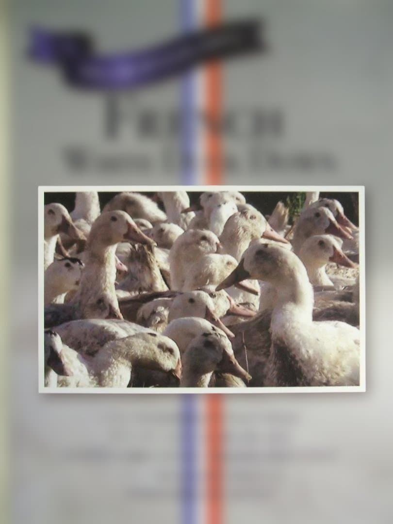 新品＊五ッ星＊ロイヤル＊フランスビックダウン９３％増量１，３キロ＊羽毛布団ＳＢ