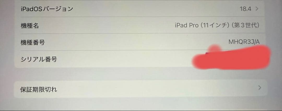 iPad Pro第三世代　11インチ　128ギガバイト　Wi-Fiモデル