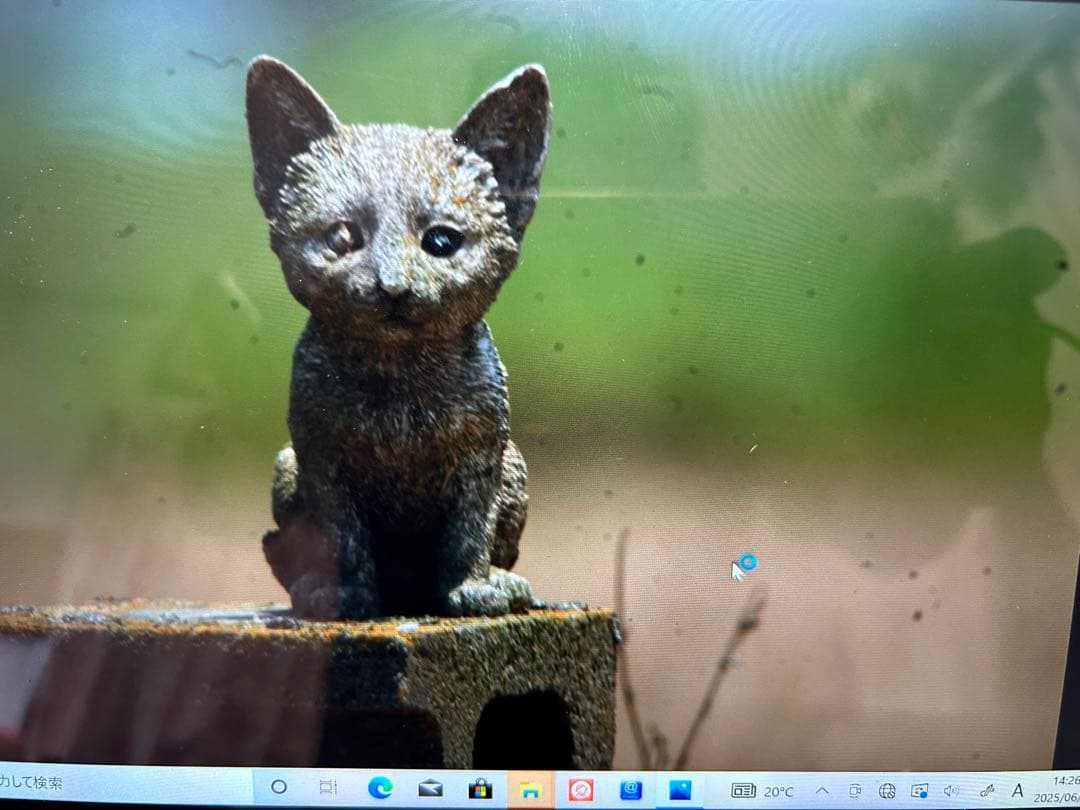 Nikon 800㎜　1:8