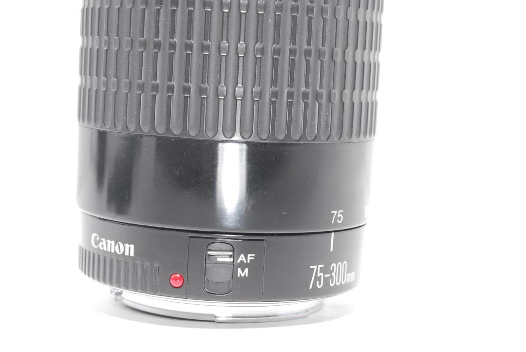 【作例あり】Canon EF 75-300mm 動作良好 軽量で扱いやすい