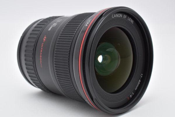 ★光学極上品★キヤノン EF 17-40mm F4 L USM #610