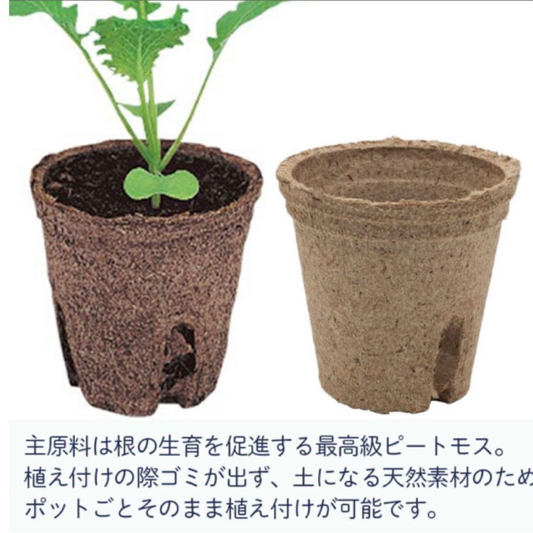 ジフィーポット丸型 8cm 約1400個入 スリット入り#130そのまま植えれる
