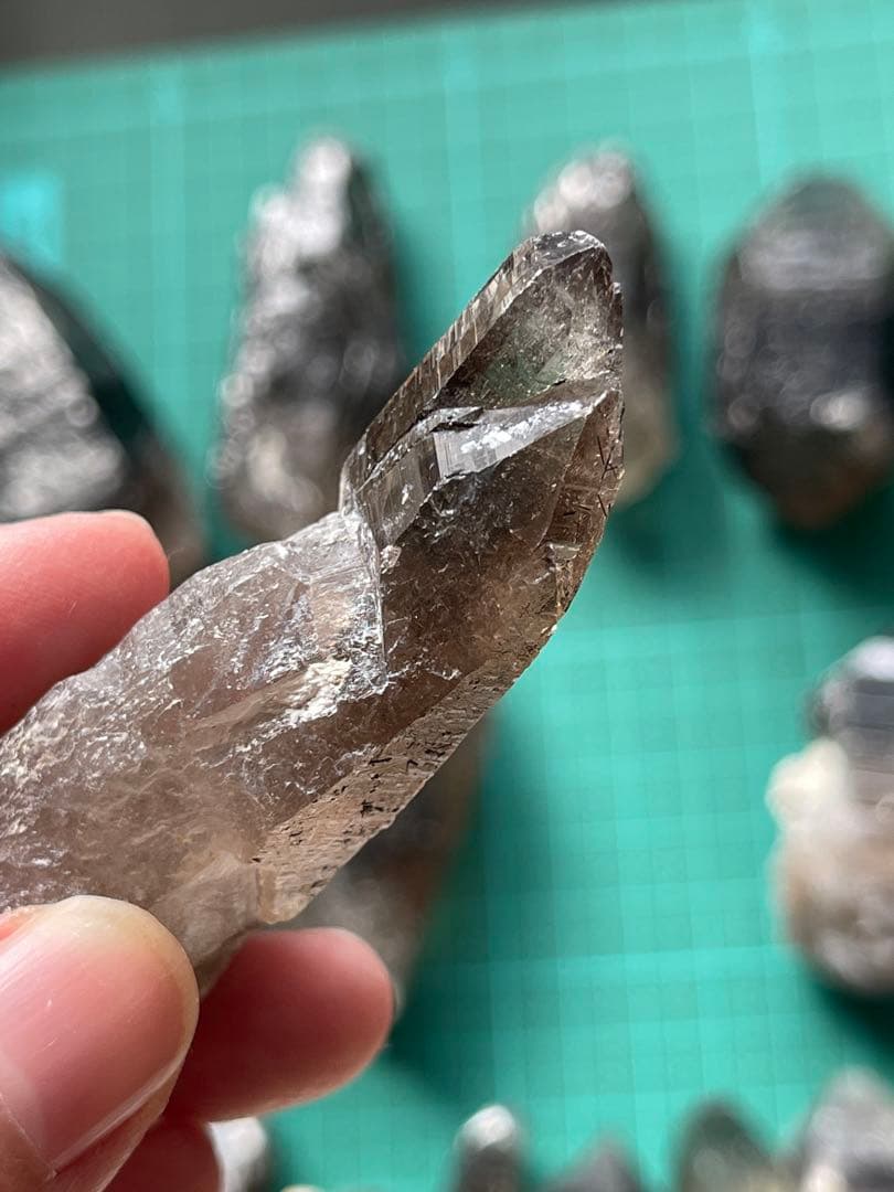 青い石様セット