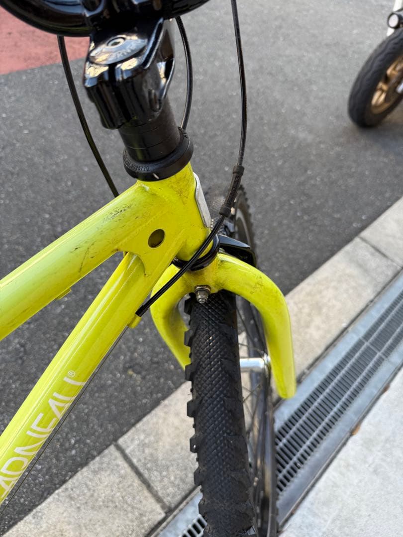 107 自転車 ルイガノ 大阪市 【引取り限定】 24インチ 変速付き