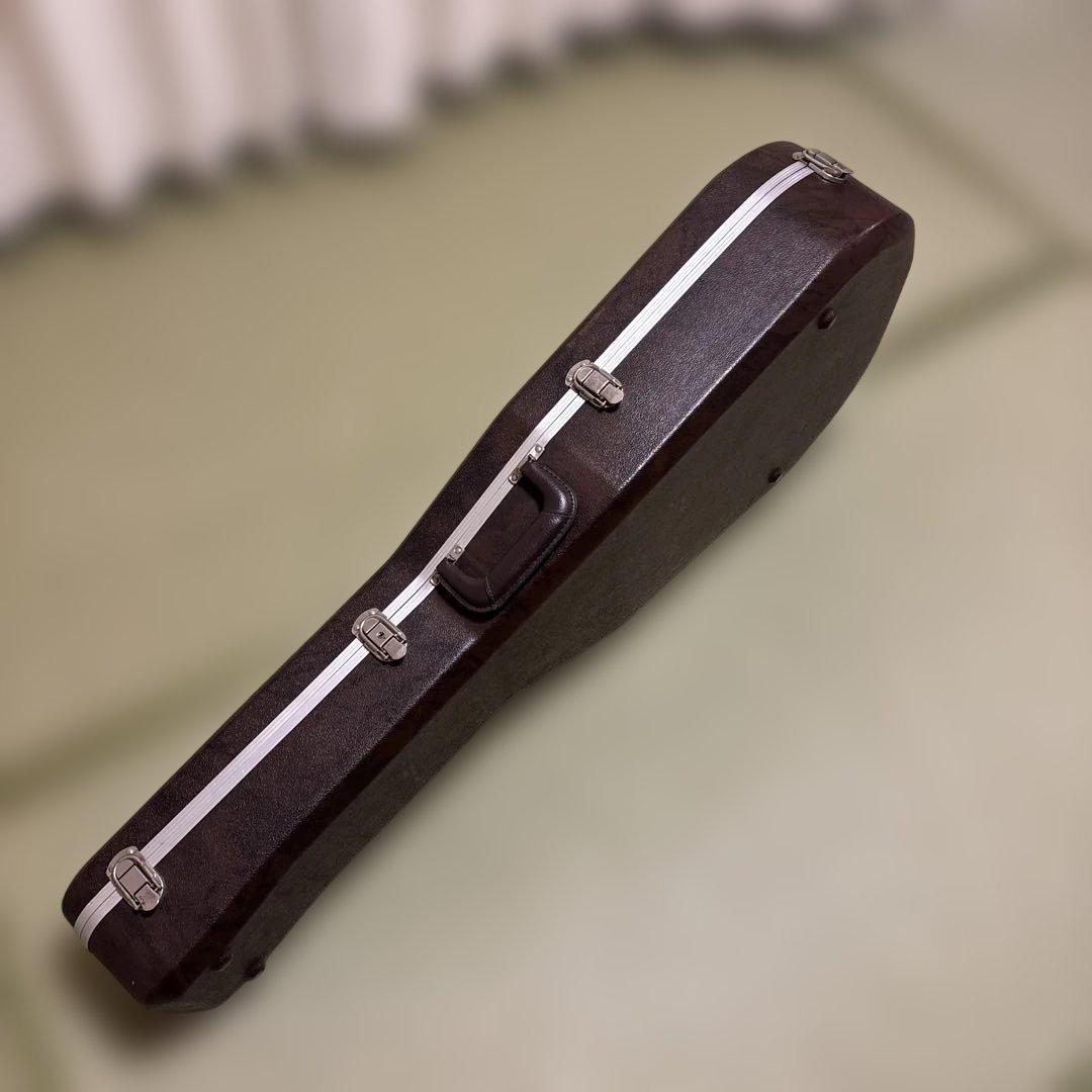 Takamine Tシリーズ アコースティックギター サンバースト