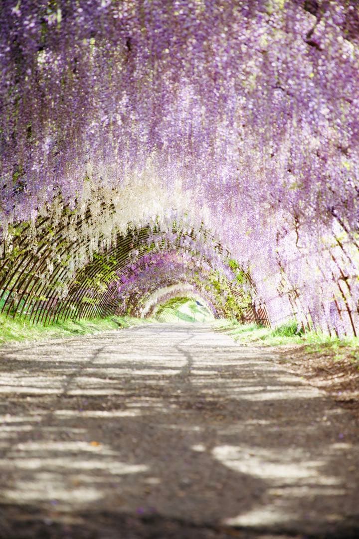 作例あり！Canon 初心者向け一眼レフ豪華5点セット