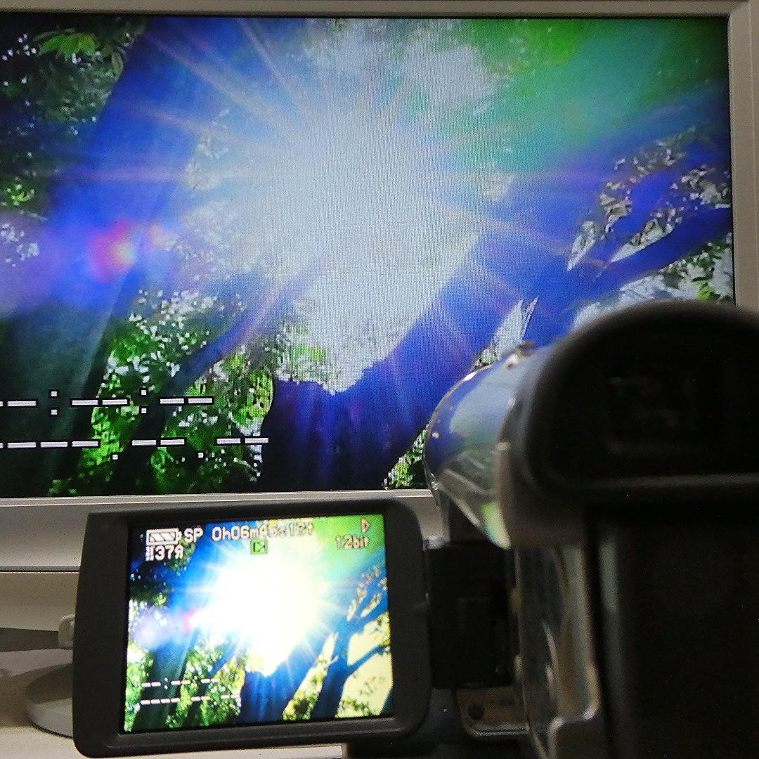 動作良好 パナソニック NV-GS200 MiniDV ビデオ ダビングに最適