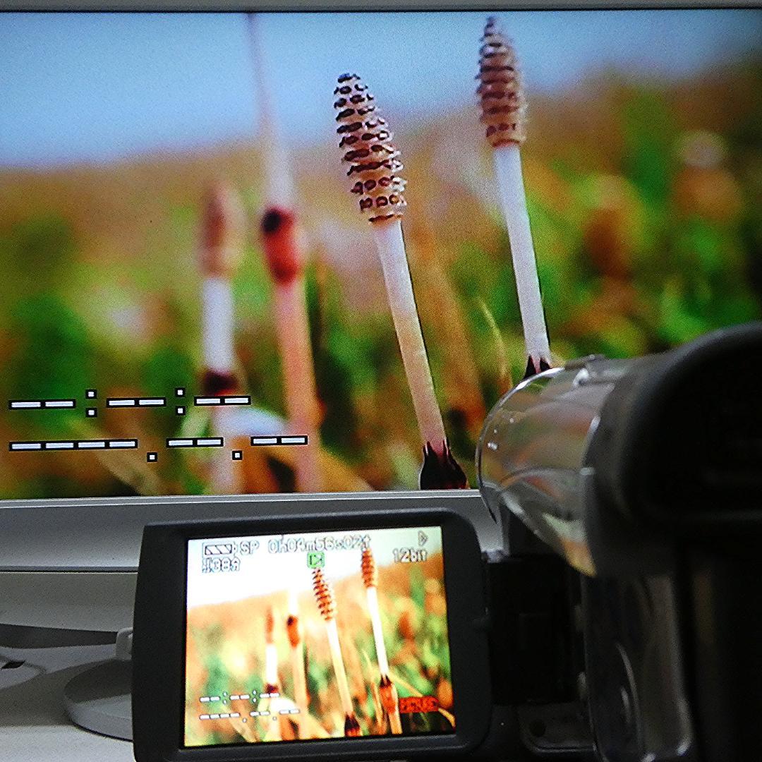 動作良好 パナソニック NV-GS200 MiniDV ビデオ ダビングに最適