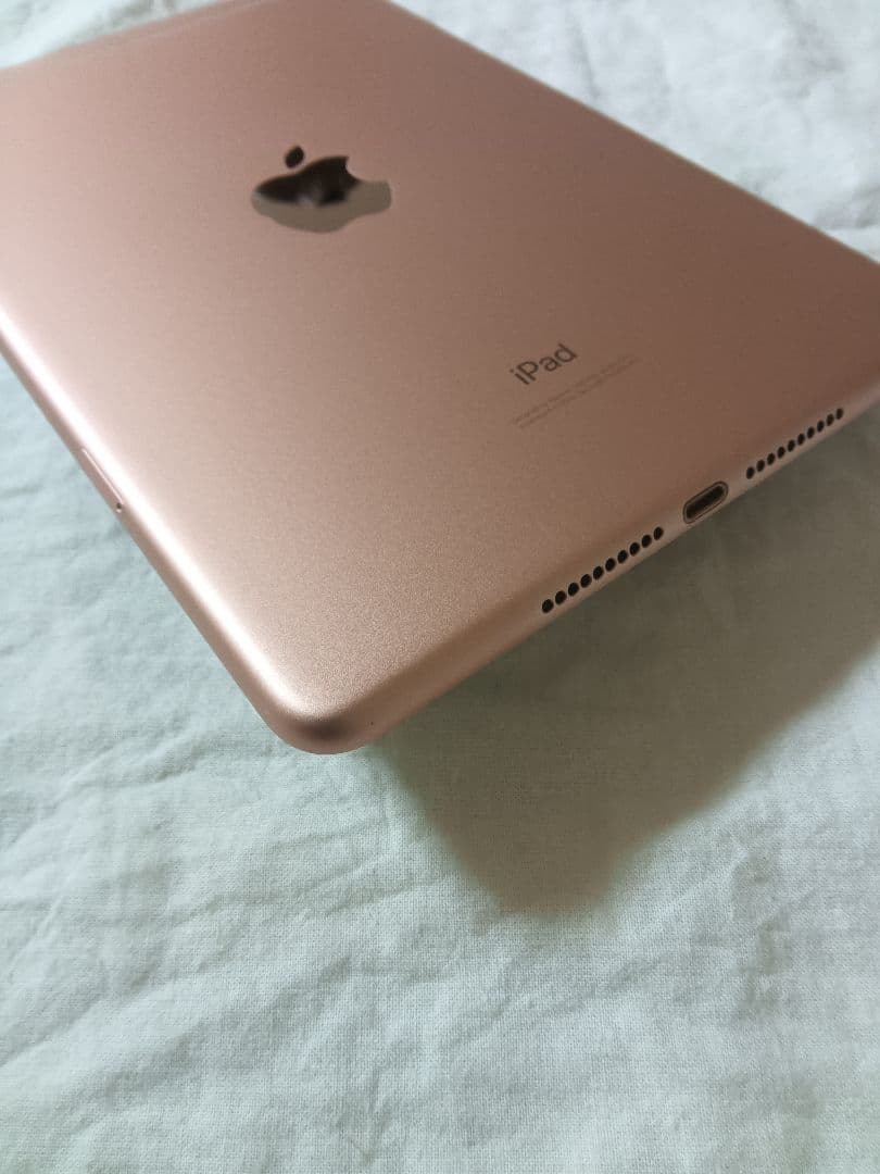 iPad mini 第5世代 バッテリー82%