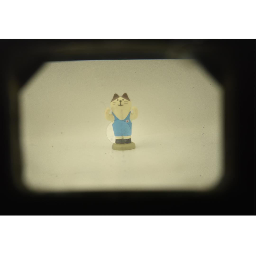 整備済 完動 Olympus OM-1ブラック 50mm F1.4 露出計OK!