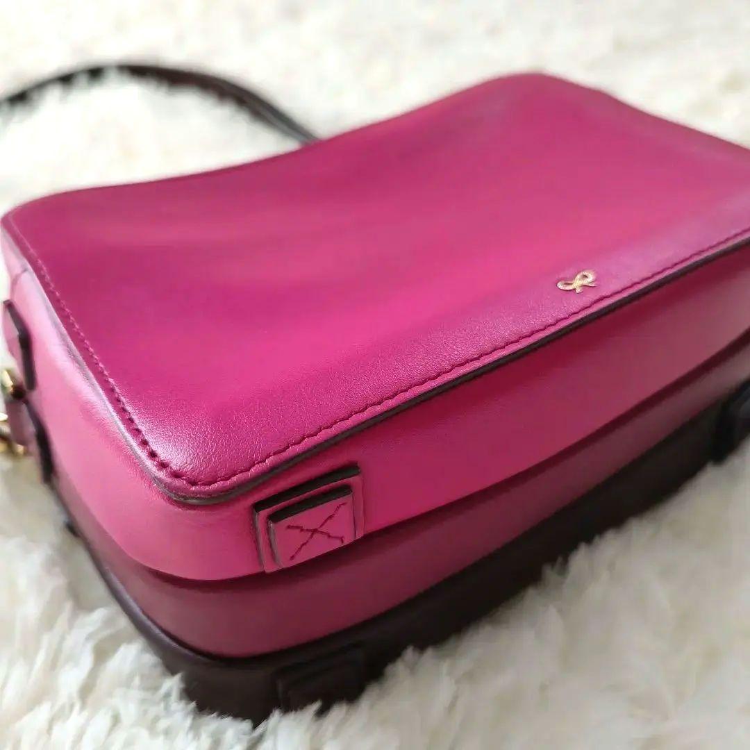 【アニヤハインドマーチ】トリオ ショルダー バッグ