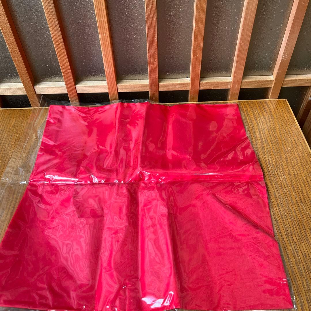 京焼・清水焼　鳥羽窯　干支祝盃　(赤帛紗付) うさぎの置物