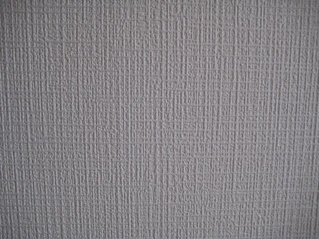 キヤノン　Canon IXY DIGITAL10≪SDカード付、すぐ使えます！≫