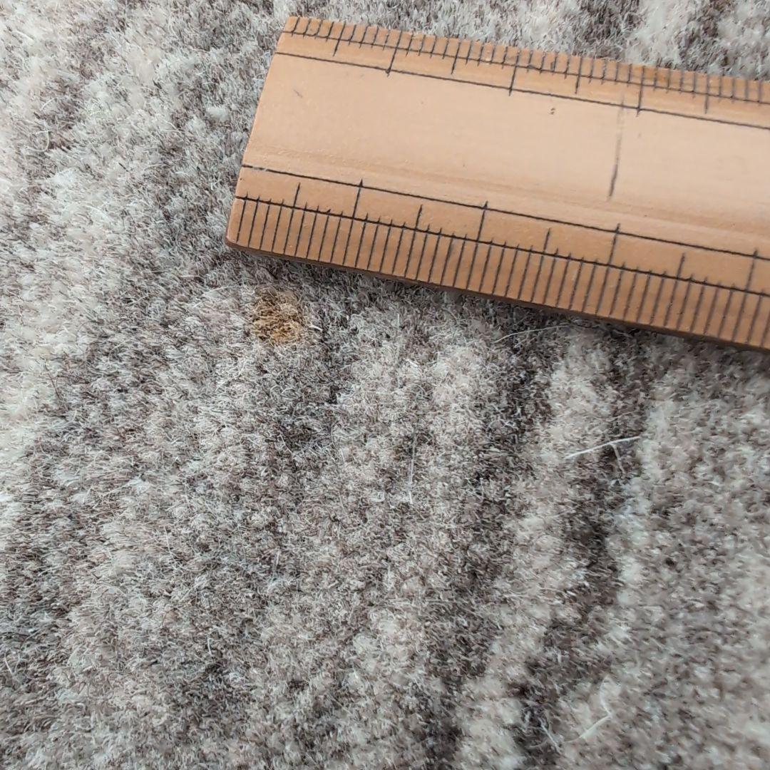 ハグみじゅうたん