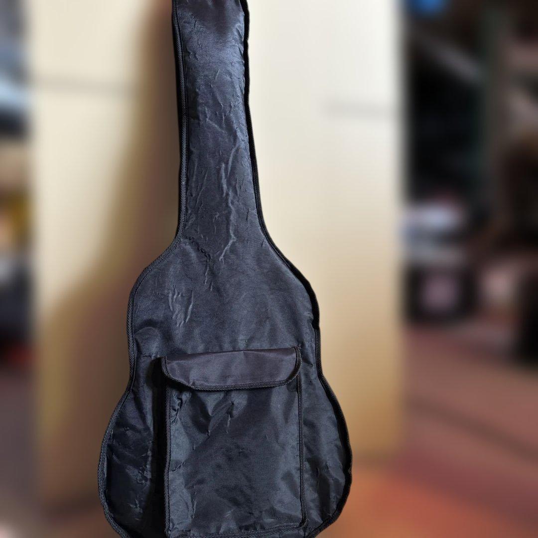 Aria エレアコ AMB-35 BLS