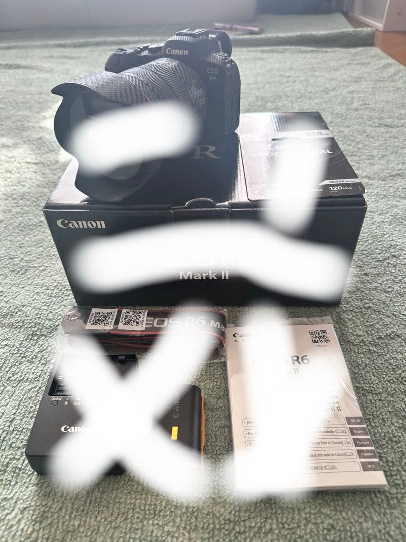 （おーしゃん様用）Canon EOS R6 Mark II 本体のみ