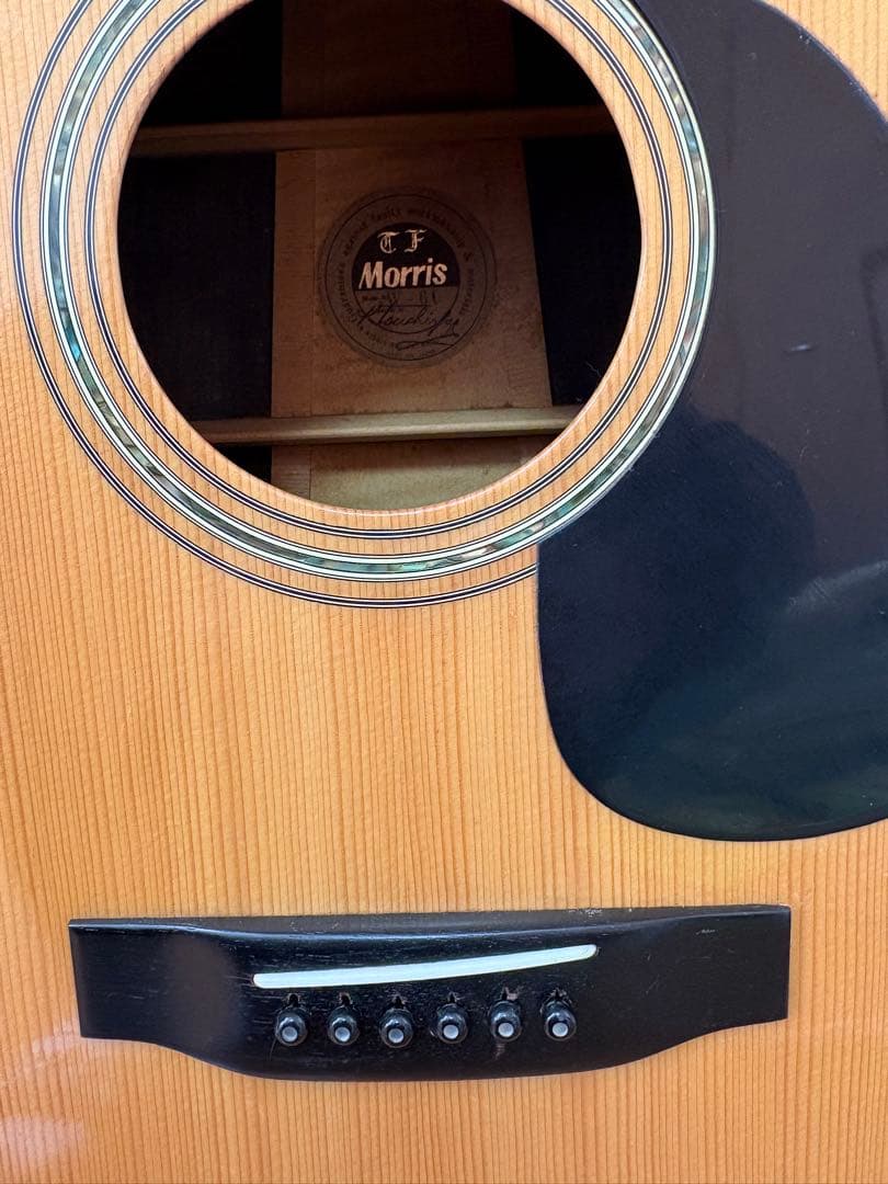 モーリス MORRIS アコースティックギター W-60