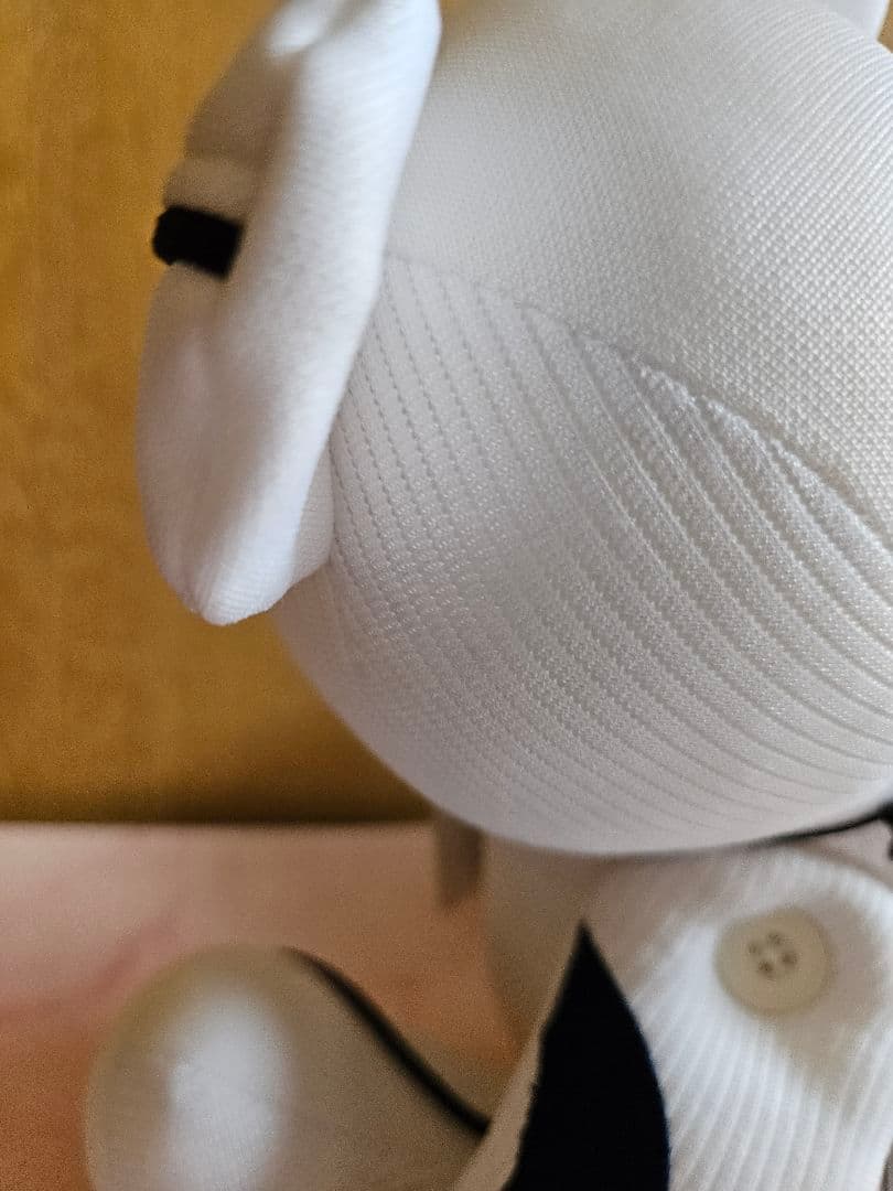 【レア】中日ドラゴンズ　ユニフォーム　リサイクルベア　大島洋平　直筆サイン入り