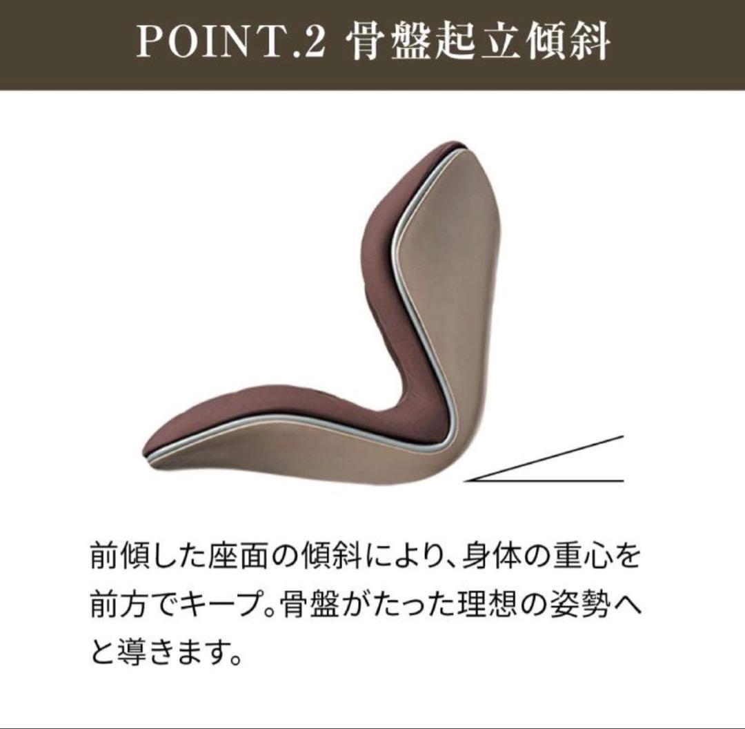 Style PREMIUM 腰椎サポート機能 ブラック