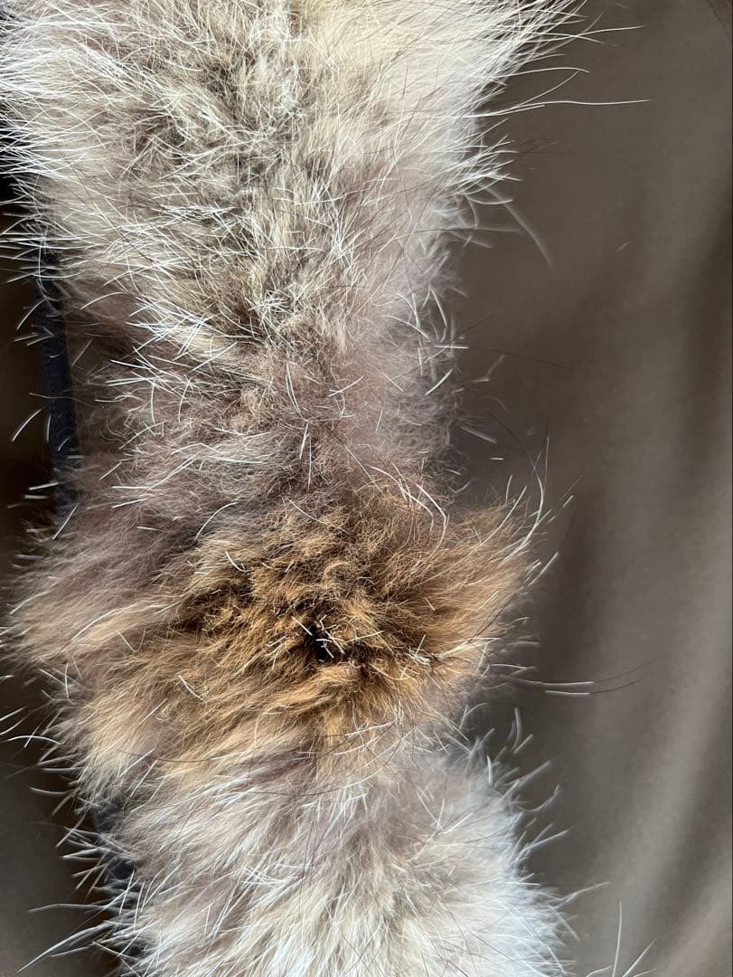 カナダグース ブロンテ