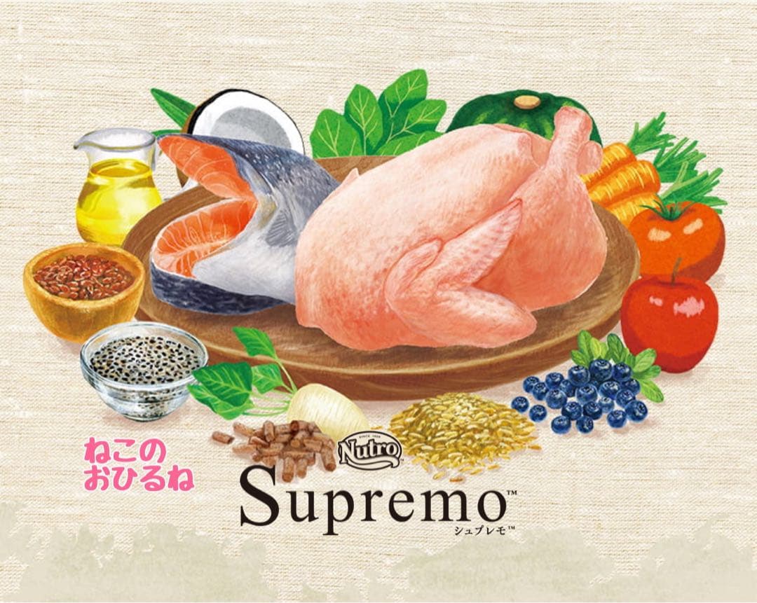 ニュートロ　シュプレモ　成猫用（チキン&サーモン）3kgパック×２袋
