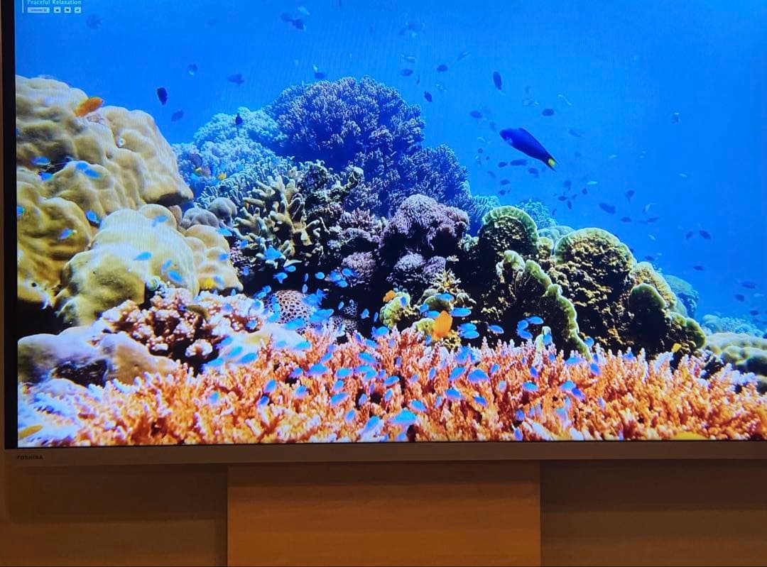 TOSHIBA 東芝 REGZA 液晶 テレビ 50J7 50インチ