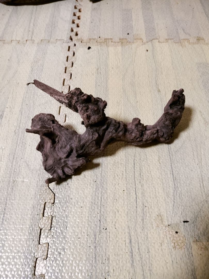 わ*ち様 水槽用流木 複数セット ホーンウッド ブランチウッド