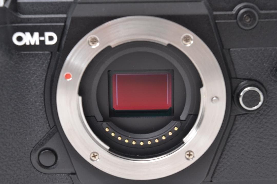 ■ 美品 ■ オリンパス　OM-D E-M5 MarkⅢ ブラック ボディ