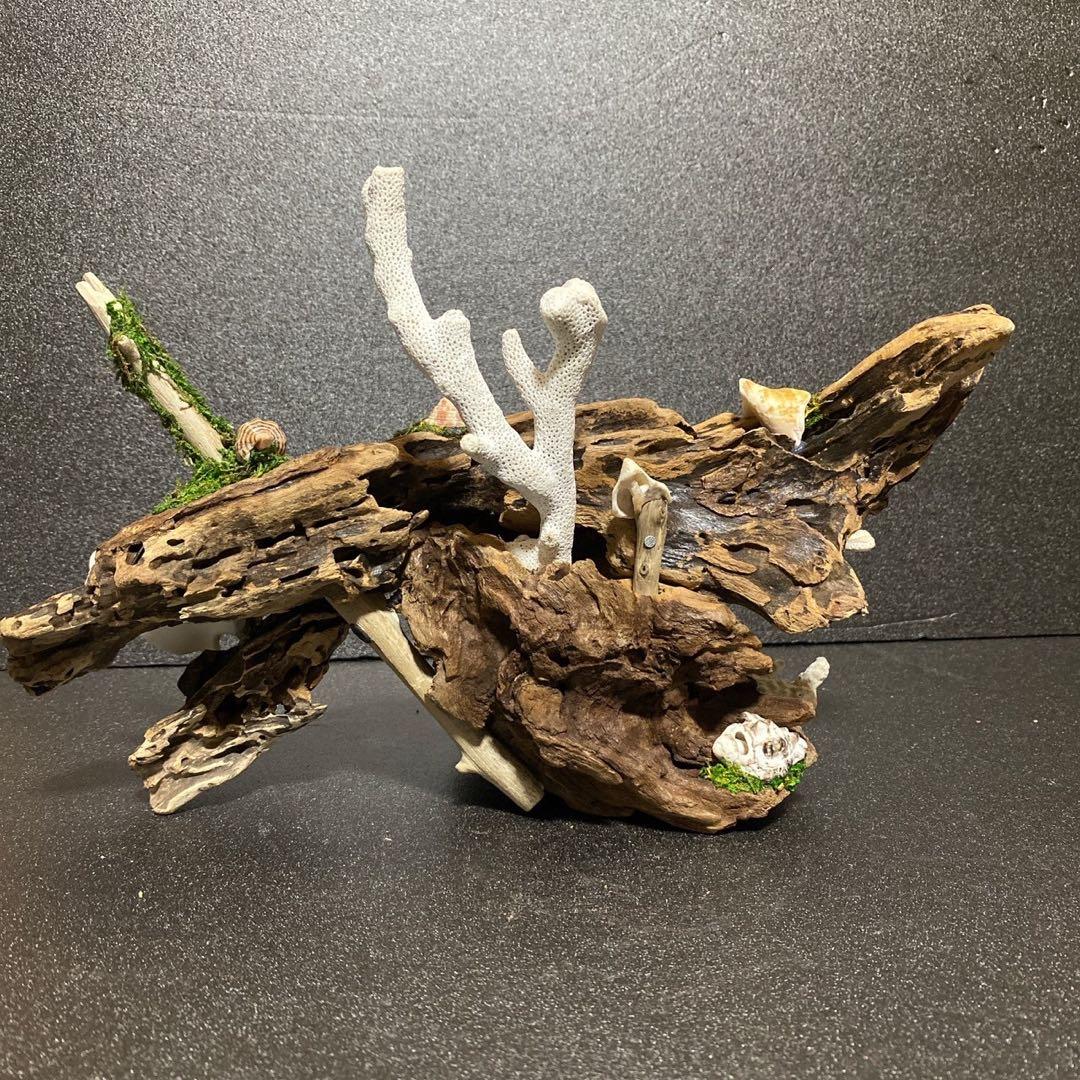 流木アート⚫︎ 恐竜 インテリア サンゴ 一点モノ